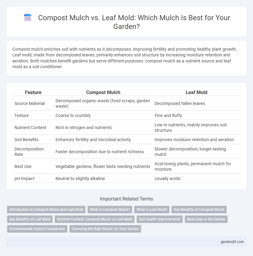 Compost Mulch vs. Leaf Mold: Which Mulch Is Best for Your Garden?