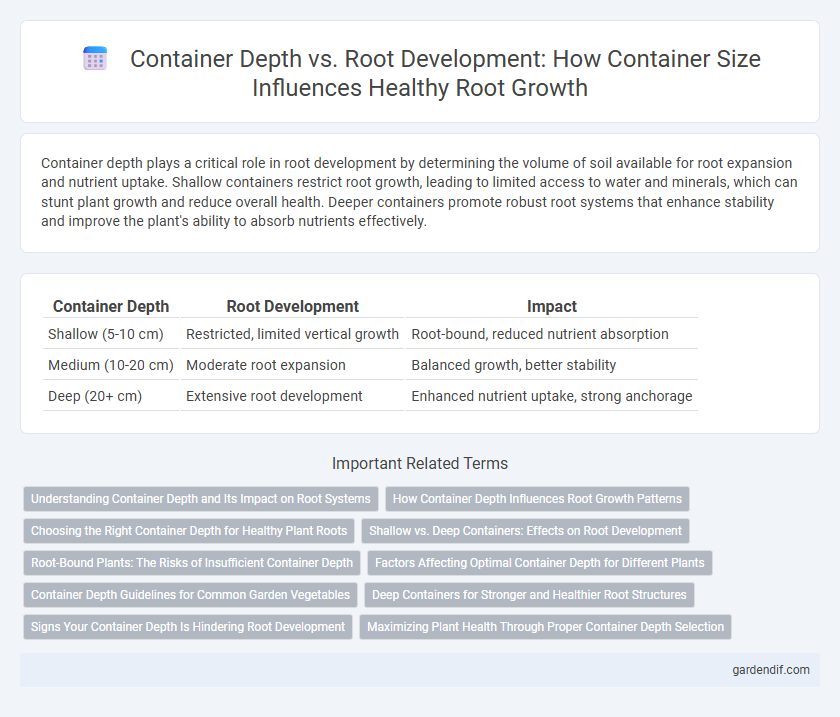 Container Depth vs. Root Development: How Container Size Influences Healthy Root Growth