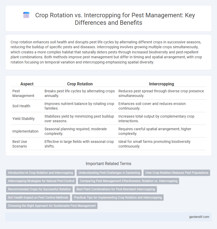 Crop Rotation vs. Intercropping for Pest Management: Key Differences and Benefits