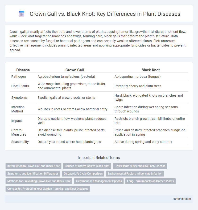 Crown Gall vs. Black Knot: Key Differences in Plant Diseases