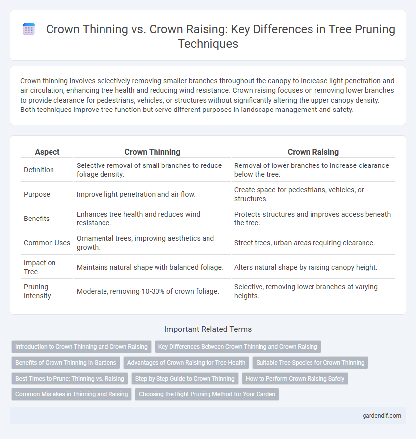 Crown Thinning vs. Crown Raising: Key Differences in Tree Pruning Techniques