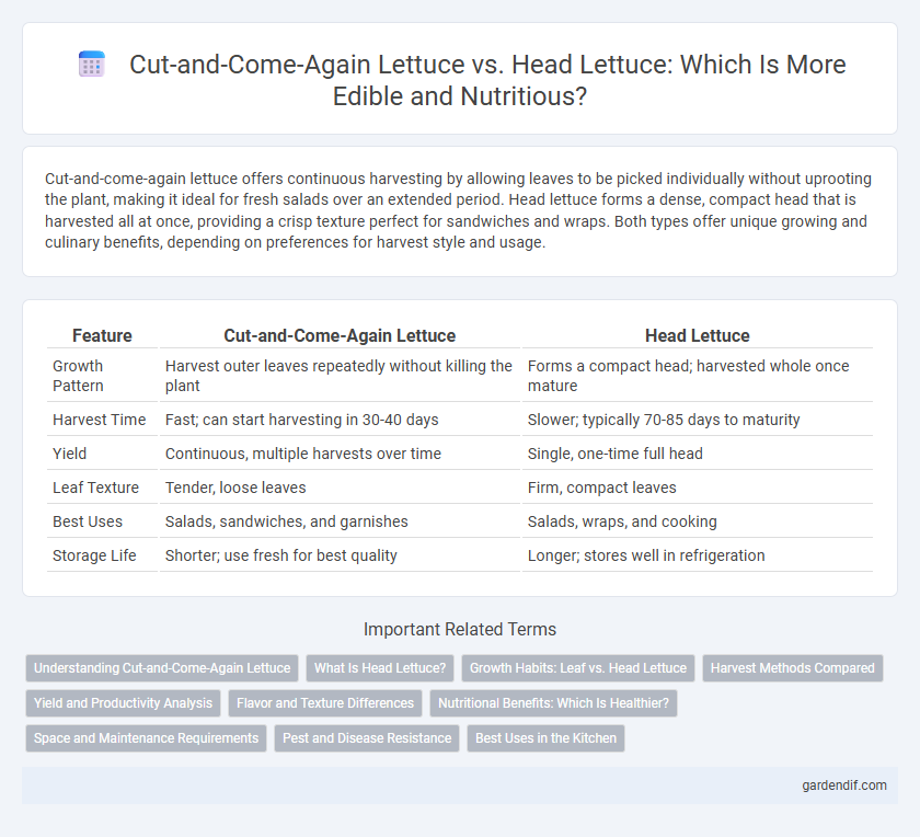 Cut-and-Come-Again Lettuce vs. Head Lettuce: Which Is More Edible and Nutritious?