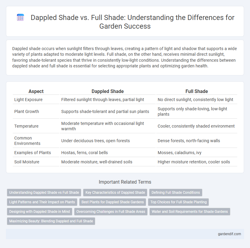 Dappled Shade vs. Full Shade: Understanding the Differences for Garden Success
