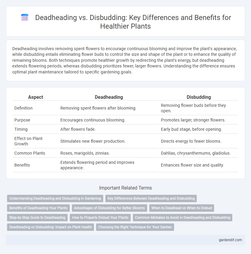 Deadheading vs. Disbudding: Key Differences and Benefits for Healthier Plants