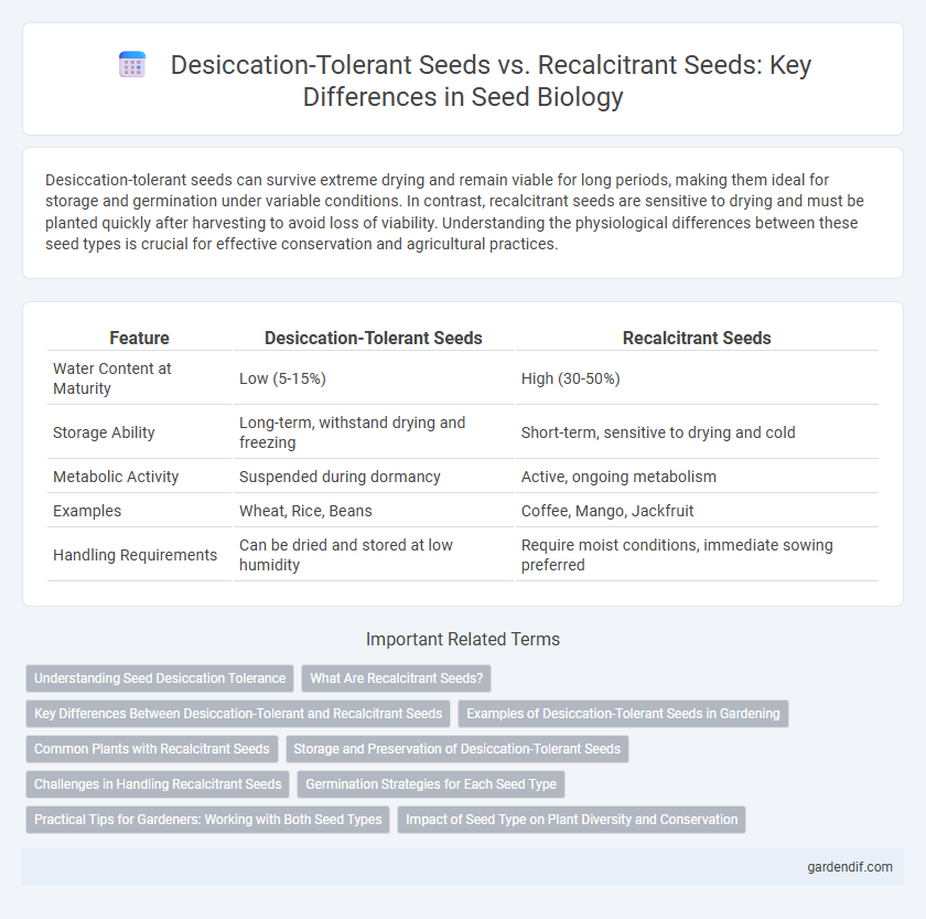 Desiccation-Tolerant Seeds vs. Recalcitrant Seeds: Key Differences in Seed Biology