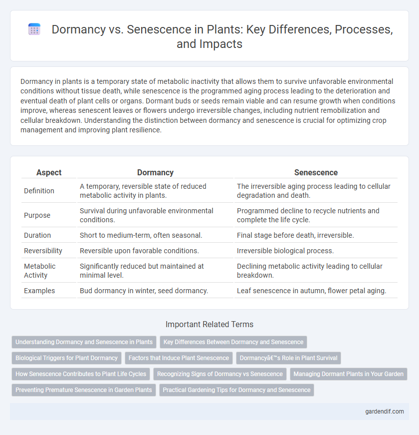 Dormancy vs. Senescence in Plants: Key Differences, Processes, and Impacts