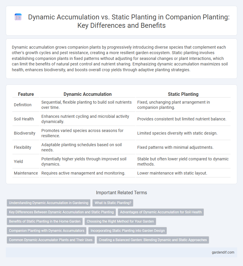 Dynamic Accumulation vs. Static Planting in Companion Planting: Key Differences and Benefits
