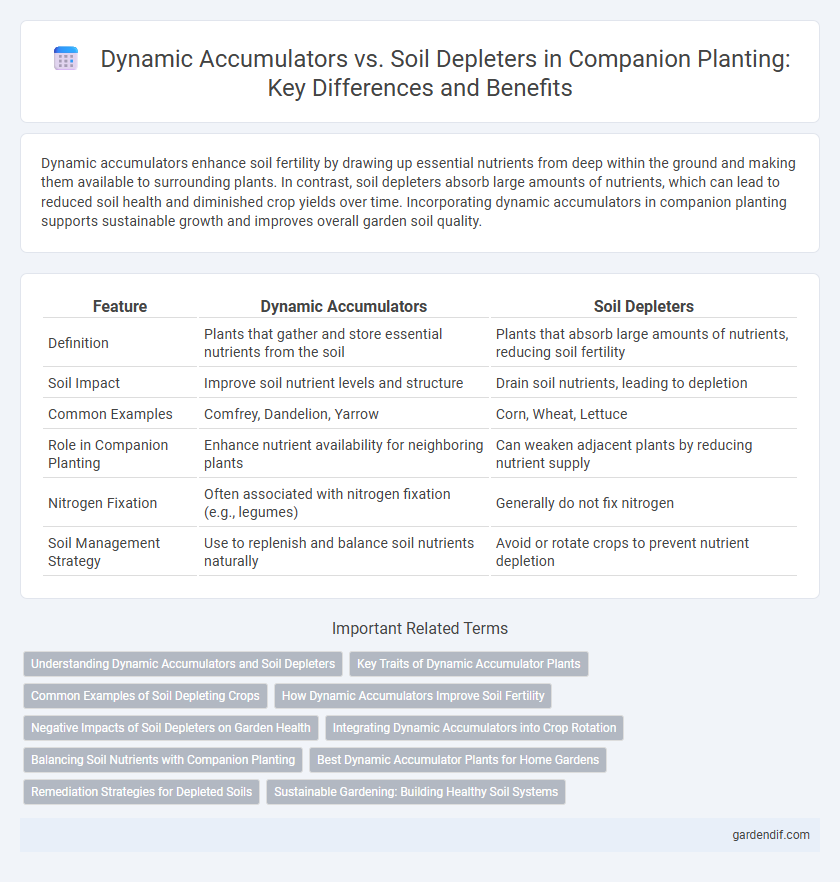 Dynamic Accumulators vs. Soil Depleters in Companion Planting: Key Differences and Benefits