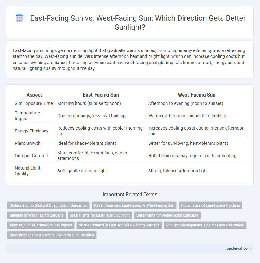 East-Facing Sun vs. West-Facing Sun: Which Direction Gets Better Sunlight?