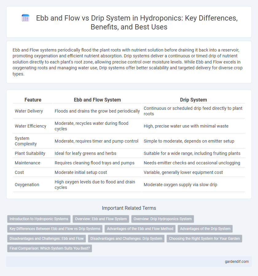 Ebb and Flow vs Drip System in Hydroponics: Key Differences, Benefits, and Best Uses