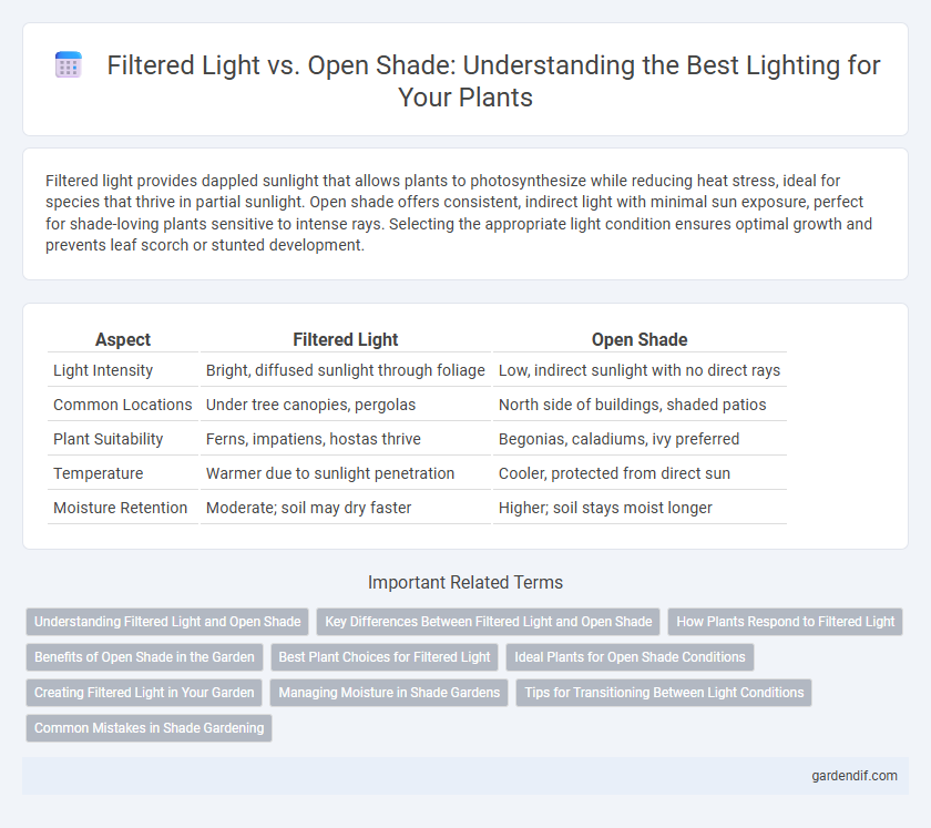 Filtered Light vs. Open Shade: Understanding the Best Lighting for Your Plants