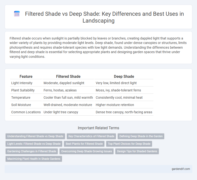 Filtered Shade vs Deep Shade: Key Differences and Best Uses in Landscaping