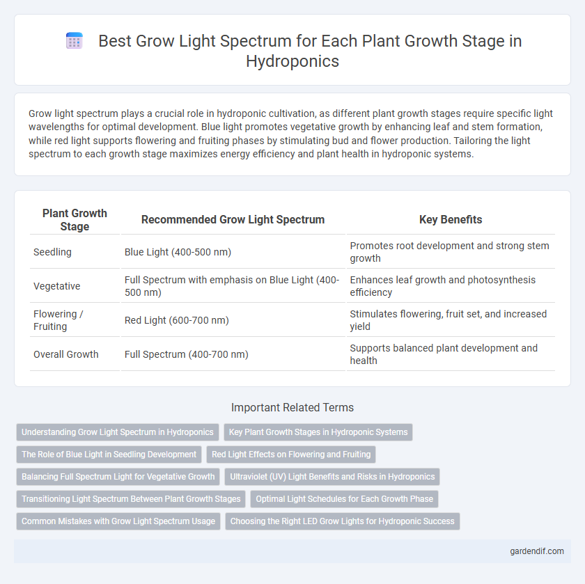 Best Grow Light Spectrum for Each Plant Growth Stage in Hydroponics