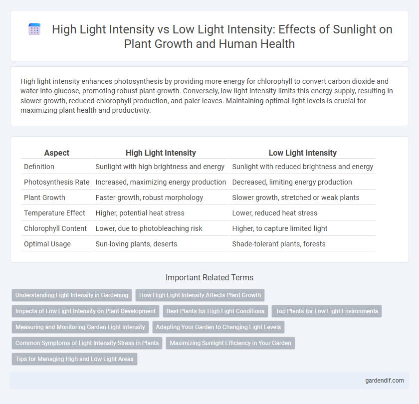 High Light Intensity vs Low Light Intensity: Effects of Sunlight on Plant Growth and Human Health