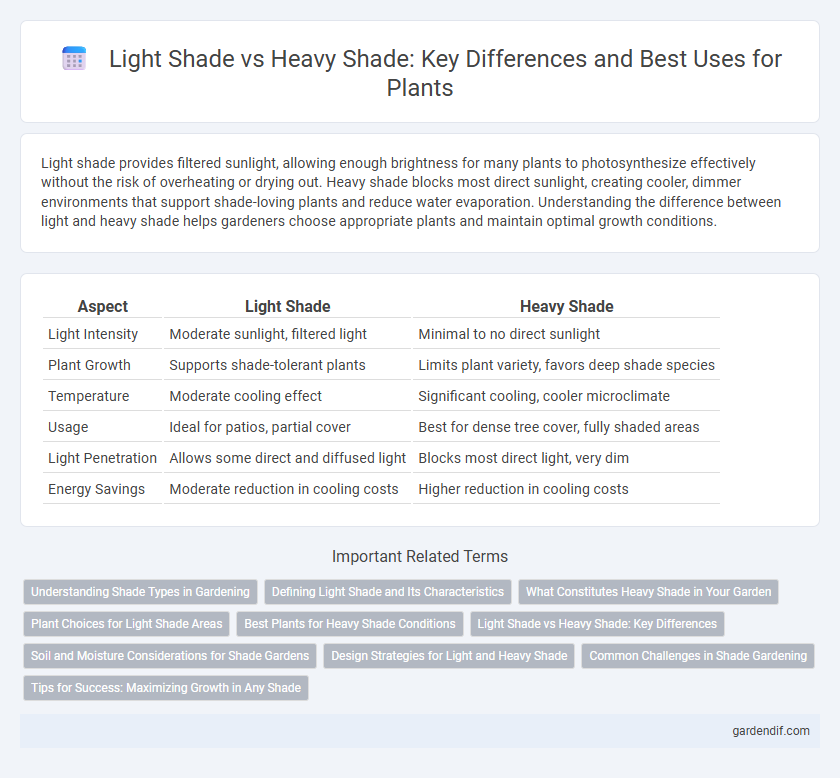 Light Shade vs Heavy Shade: Key Differences and Best Uses for Plants