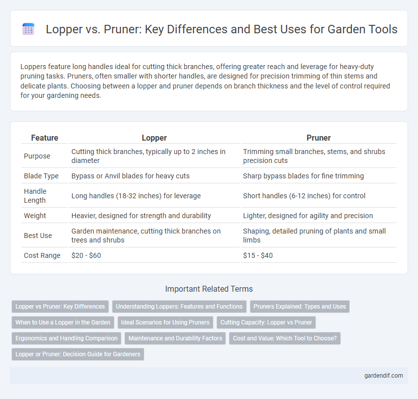 Lopper vs. Pruner: Key Differences and Best Uses for Garden Tools