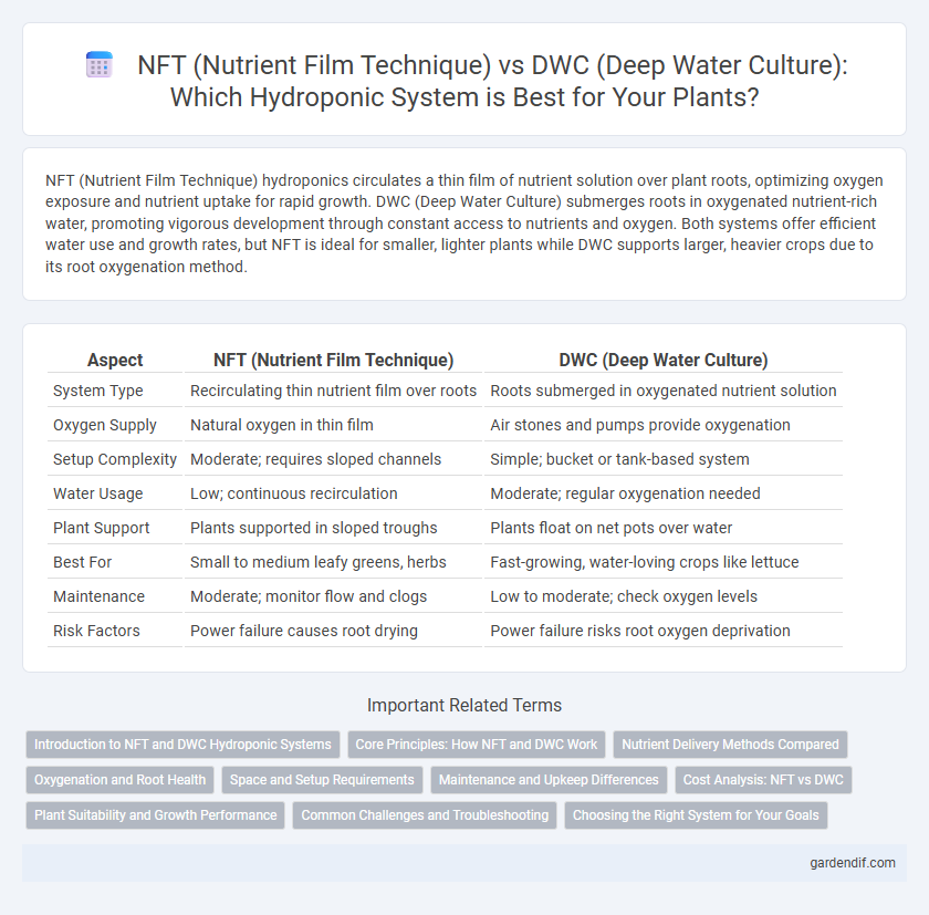 NFT (Nutrient Film Technique) vs DWC (Deep Water Culture): Which Hydroponic System is Best for Your Plants?