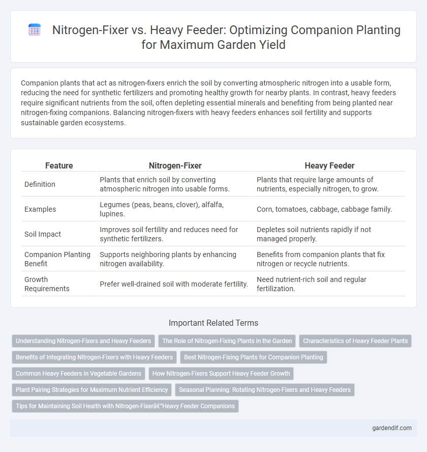 Nitrogen-Fixer vs. Heavy Feeder: Optimizing Companion Planting for Maximum Garden Yield