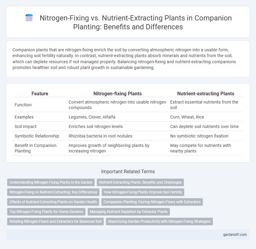 Nitrogen-Fixing vs. Nutrient-Extracting Plants in Companion Planting: Benefits and Differences