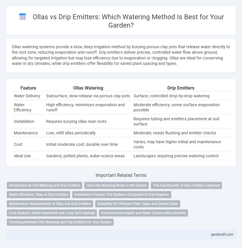 Ollas vs Drip Emitters: Which Watering Method Is Best for Your Garden?