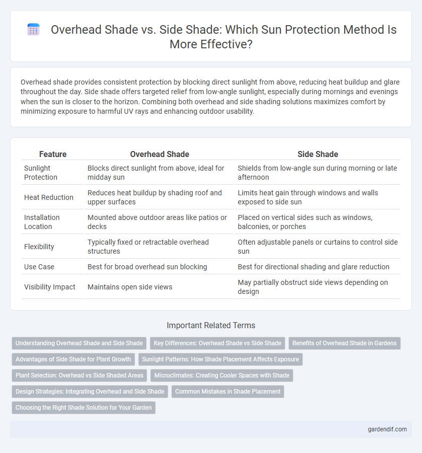 Overhead Shade vs. Side Shade: Which Sun Protection Method Is More Effective?