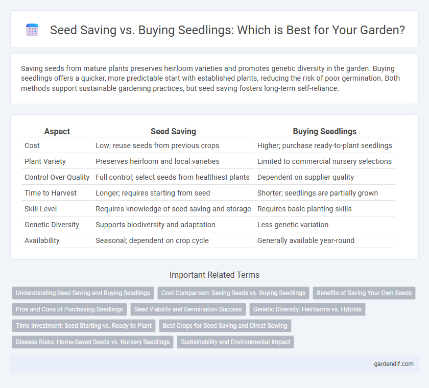 Seed Saving vs. Buying Seedlings: Which is Best for Your Garden?