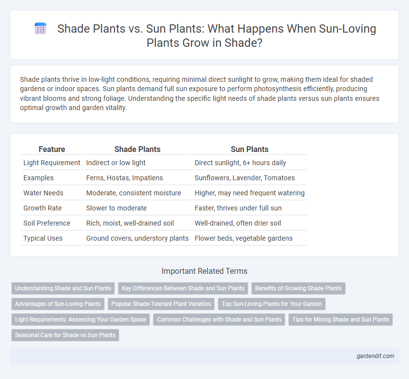 Shade Plants vs. Sun Plants: What Happens When Sun-Loving Plants Grow in Shade?