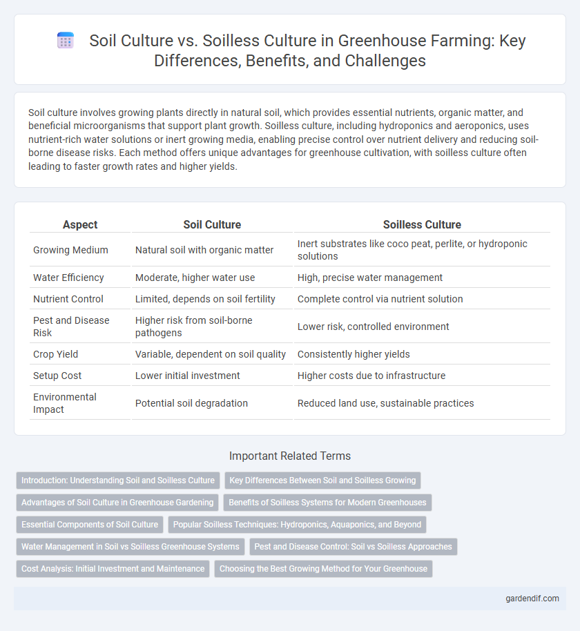 Soil Culture vs. Soilless Culture in Greenhouse Farming: Key Differences, Benefits, and Challenges