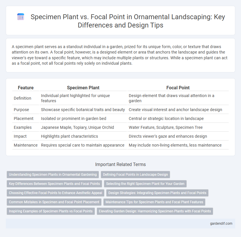 Specimen Plant vs. Focal Point in Ornamental Landscaping: Key Differences and Design Tips