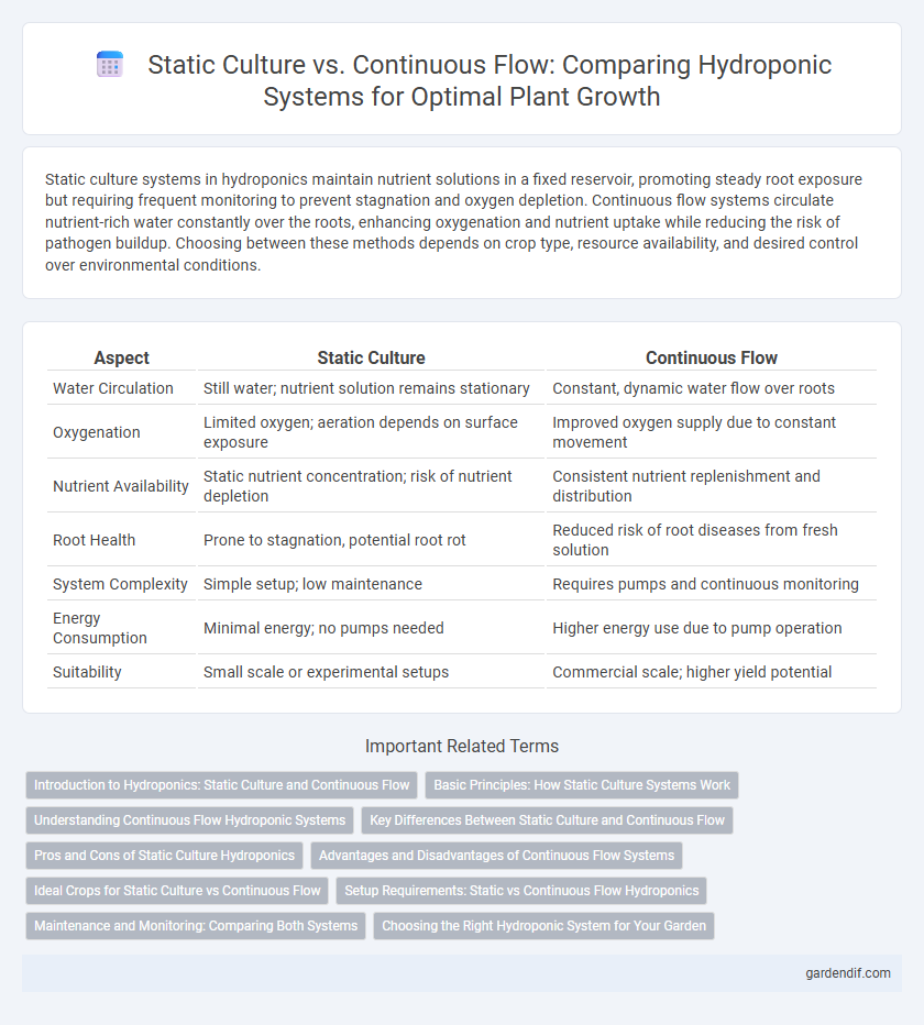 Static Culture vs. Continuous Flow: Comparing Hydroponic Systems for Optimal Plant Growth