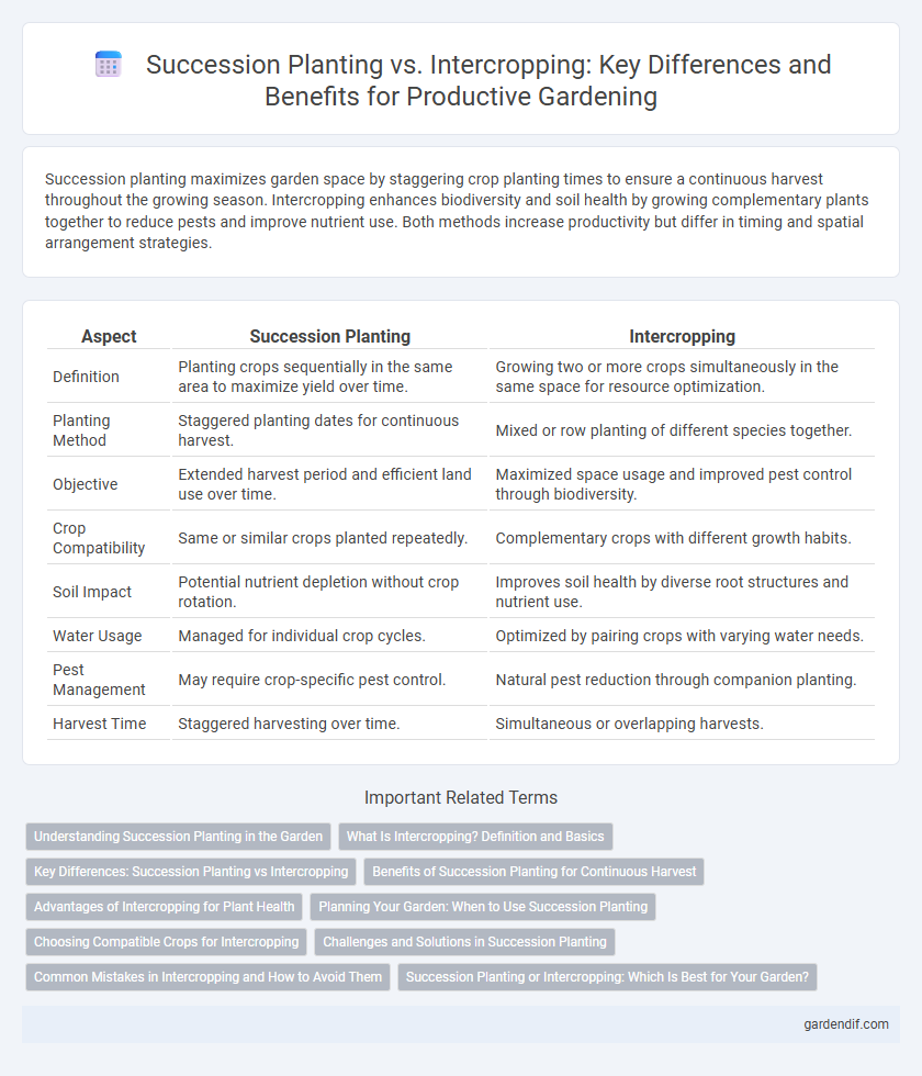 Succession Planting vs. Intercropping: Key Differences and Benefits for Productive Gardening