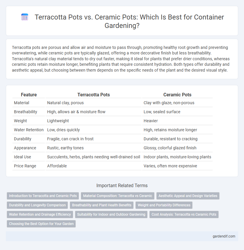 Terracotta Pots vs. Ceramic Pots: Which Is Best for Container Gardening?