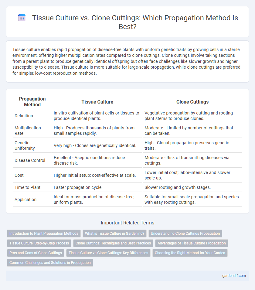 Tissue Culture vs. Clone Cuttings: Which Propagation Method Is Best?