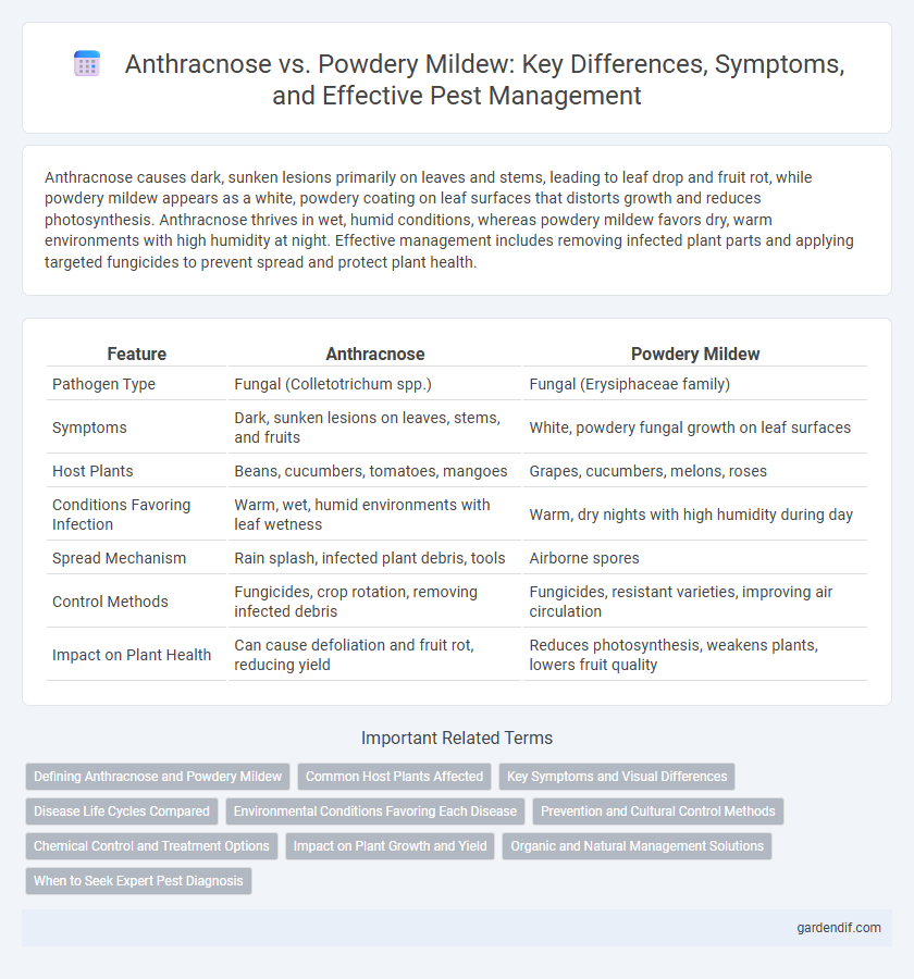 Anthracnose vs. Powdery Mildew: Key Differences, Symptoms, and Effective Pest Management