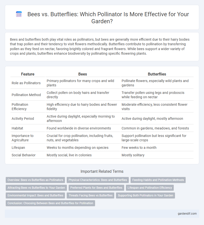 Bees vs. Butterflies: Which Pollinator Is More Effective for Your Garden?