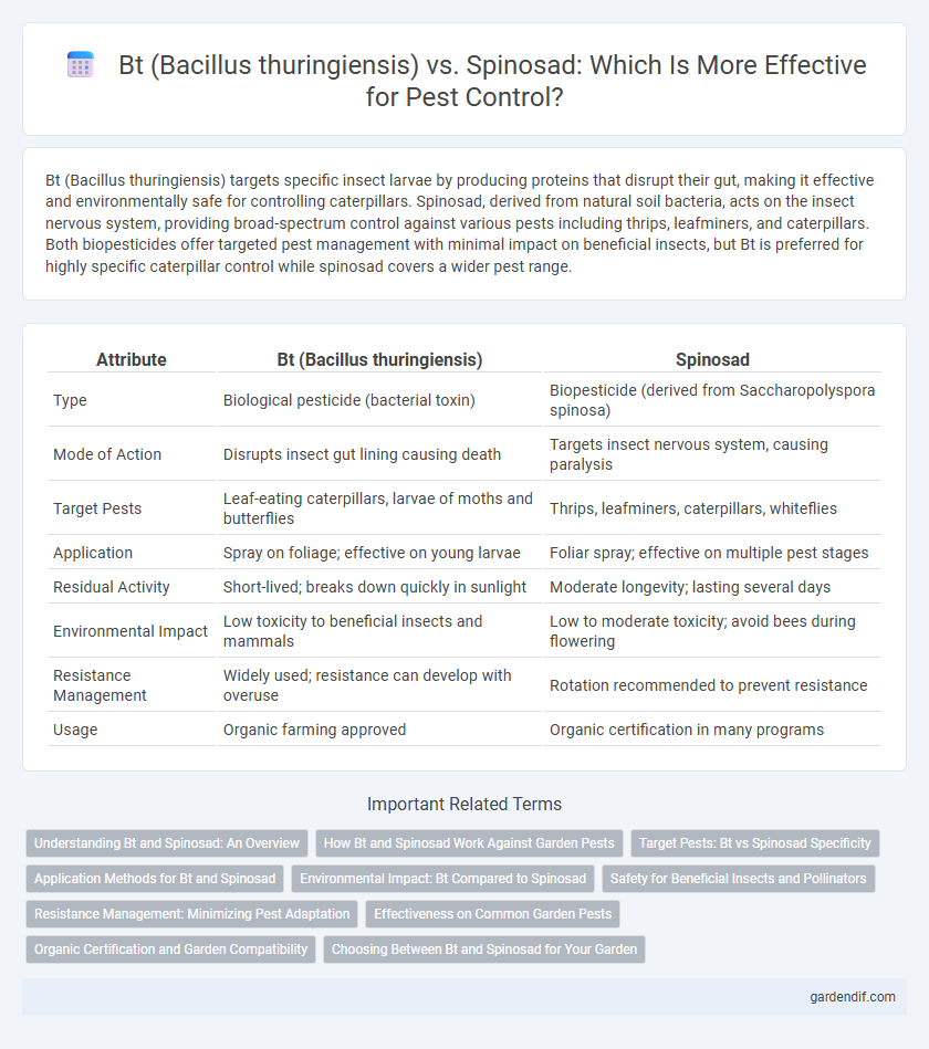 Bt (Bacillus thuringiensis) vs. Spinosad: Which Is More Effective for Pest Control?