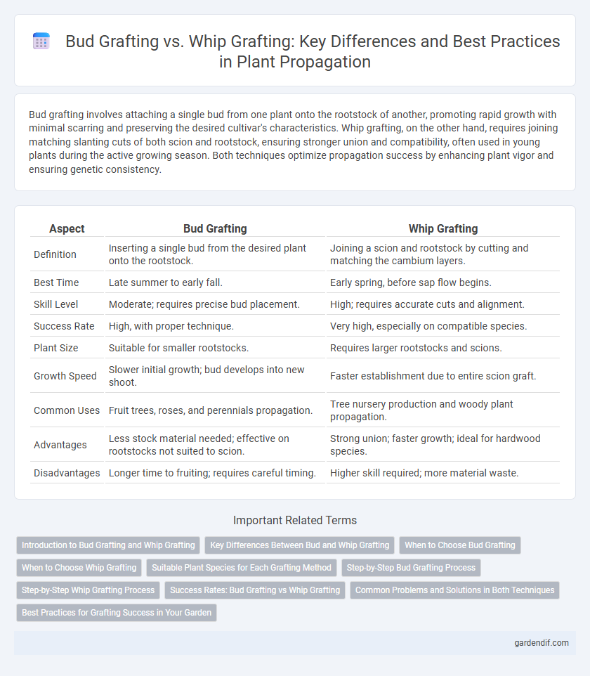 Bud Grafting vs. Whip Grafting: Key Differences and Best Practices in Plant Propagation