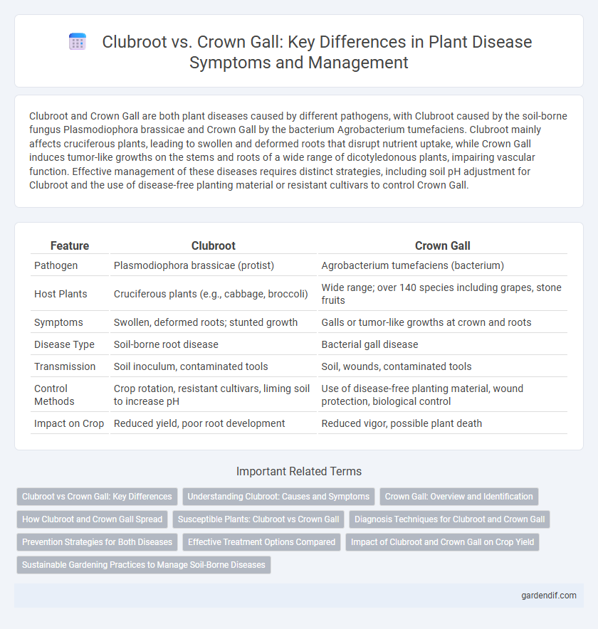 Clubroot vs. Crown Gall: Key Differences in Plant Disease Symptoms and Management
