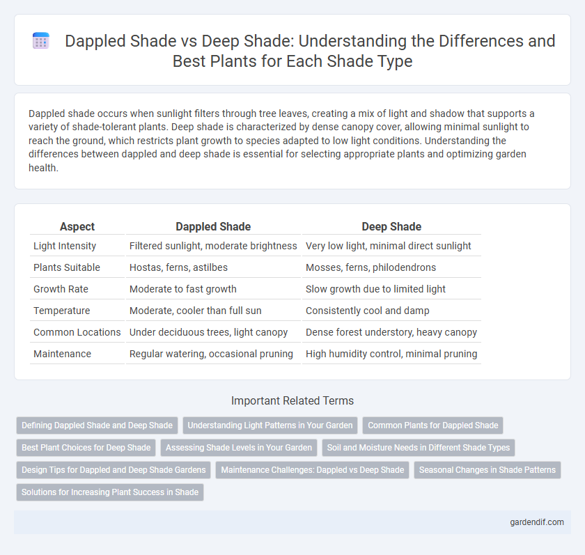 Dappled Shade vs Deep Shade: Understanding the Differences and Best Plants for Each Shade Type