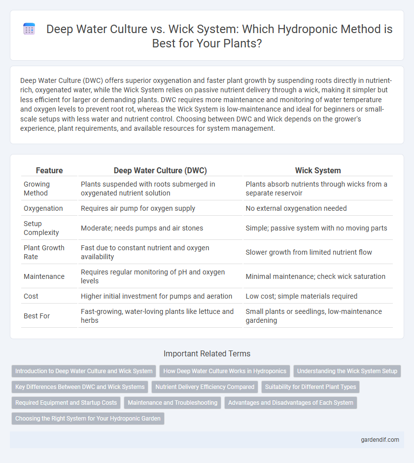 Deep Water Culture vs. Wick System: Which Hydroponic Method is Best for Your Plants?
