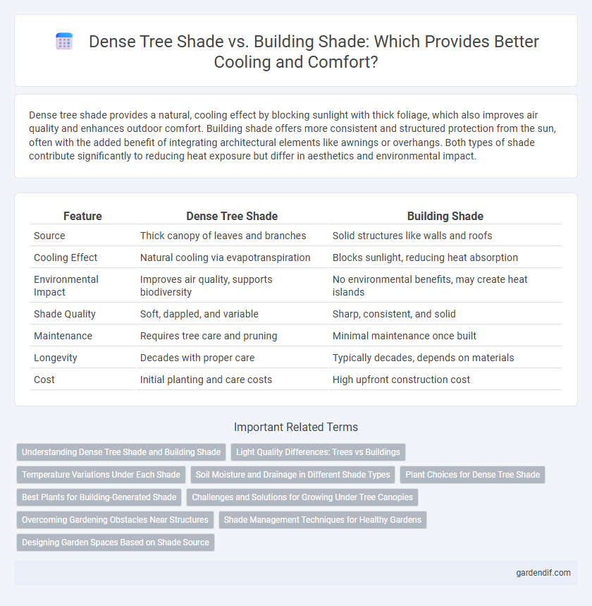 Dense Tree Shade vs. Building Shade: Which Provides Better Cooling and Comfort?