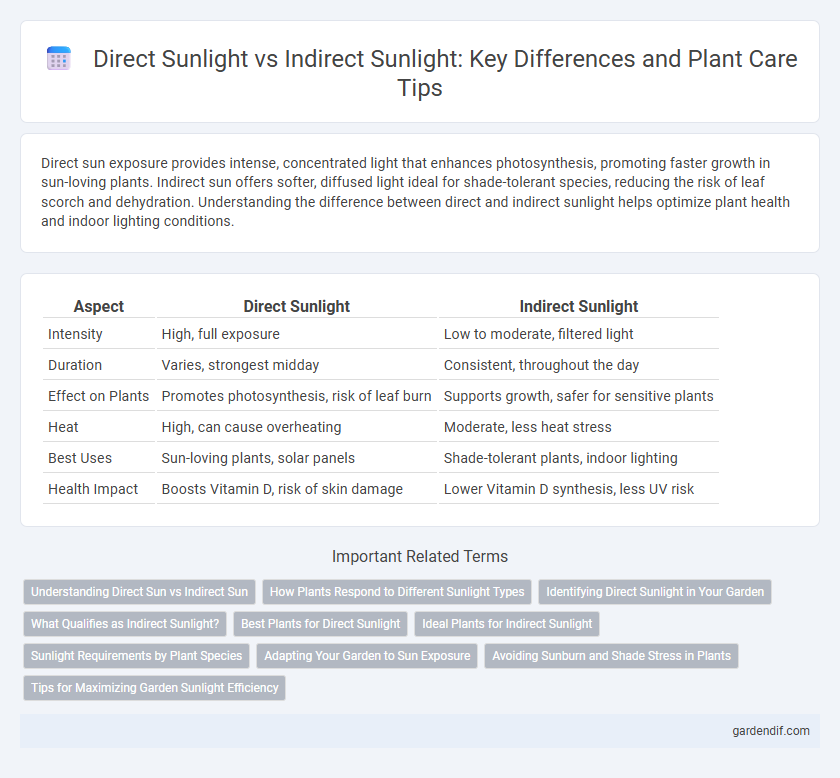 Direct Sunlight vs Indirect Sunlight: Key Differences and Plant Care Tips