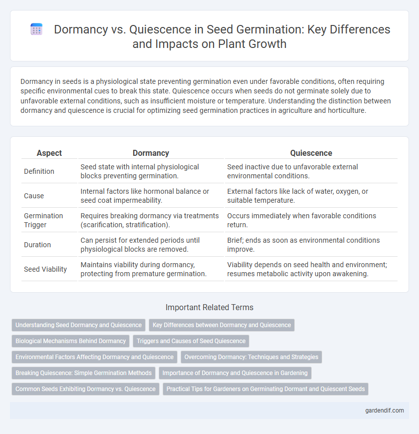 Dormancy vs. Quiescence in Seed Germination: Key Differences and Impacts on Plant Growth