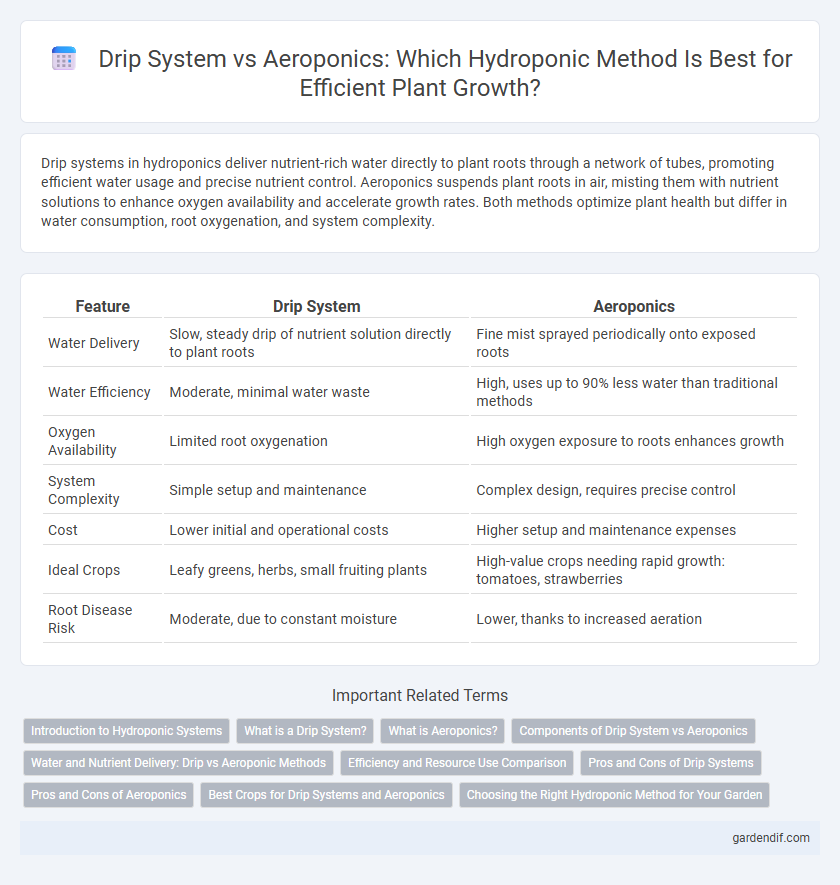 Drip System vs Aeroponics: Which Hydroponic Method Is Best for Efficient Plant Growth?