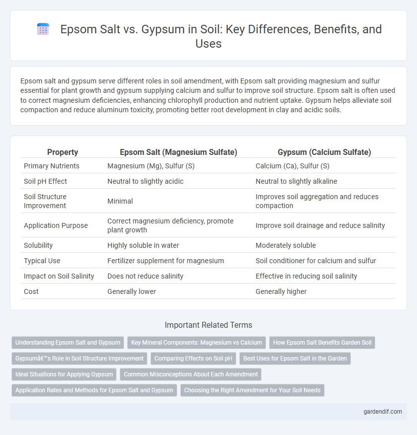 Epsom Salt vs. Gypsum in Soil: Key Differences, Benefits, and Uses