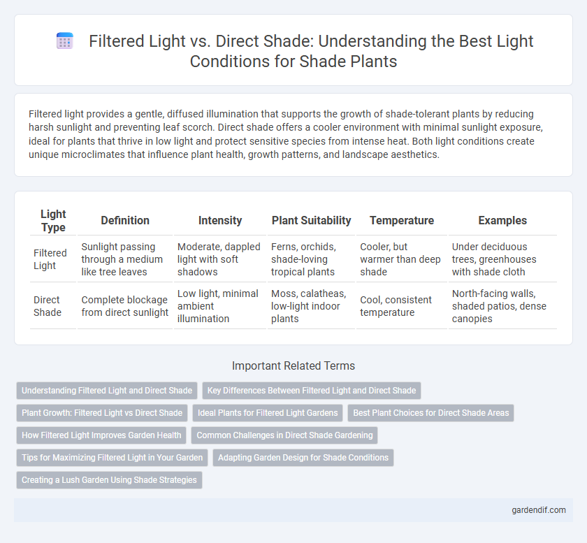 Filtered Light vs. Direct Shade: Understanding the Best Light Conditions for Shade Plants