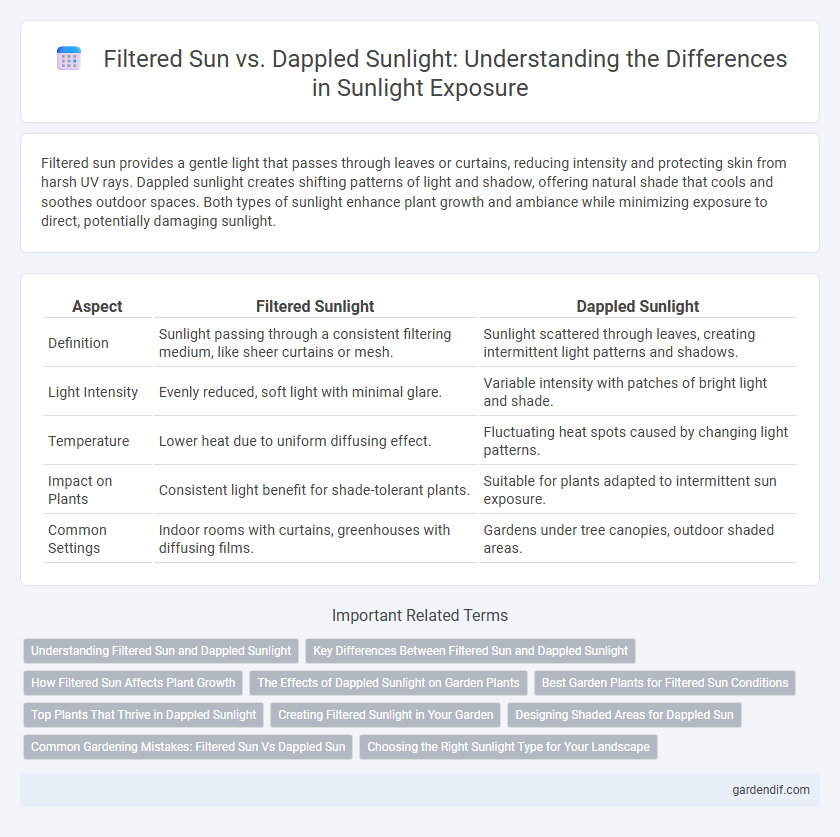 Filtered Sun vs. Dappled Sunlight: Understanding the Differences in Sunlight Exposure