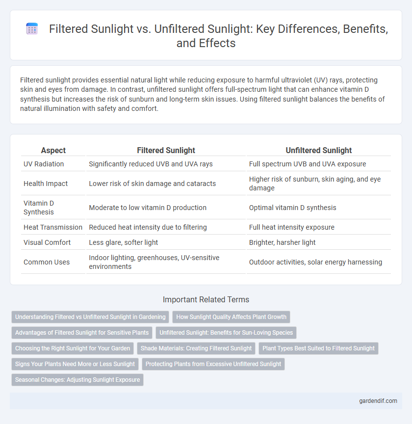 Filtered Sunlight vs. Unfiltered Sunlight: Key Differences, Benefits, and Effects