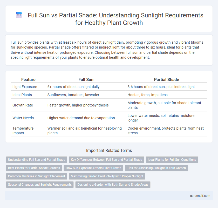 Full Sun vs Partial Shade: Understanding Sunlight Requirements for Healthy Plant Growth