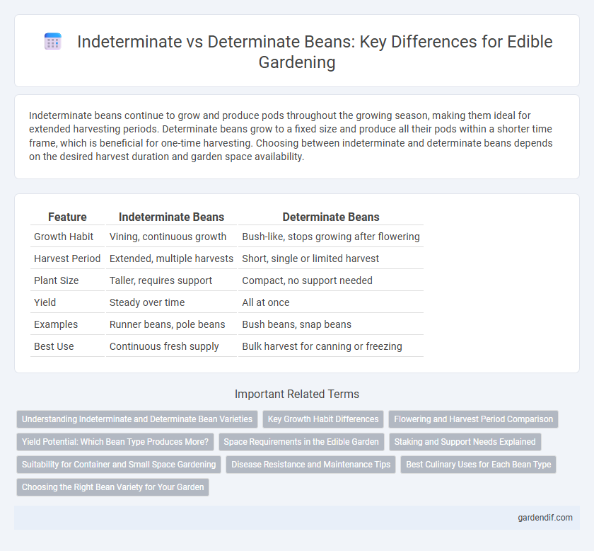 Indeterminate vs Determinate Beans: Key Differences for Edible Gardening